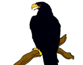 Dibujo Águila en una rama pintado por blablablabla