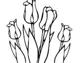 Dibujo Tulipanes pintado por tulipanes
