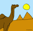 Dibujo Camello pintado por raqw