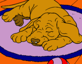 Dibujo Perro durmiendo pintado por avi_12