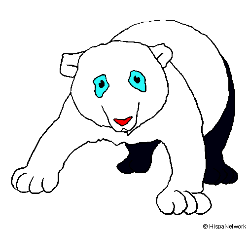 Oso panda