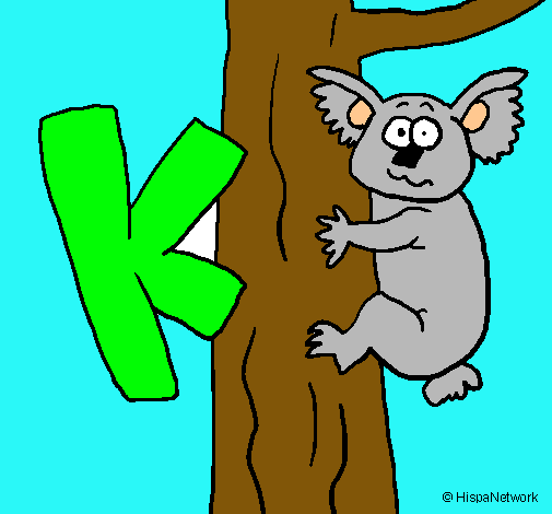 Koala