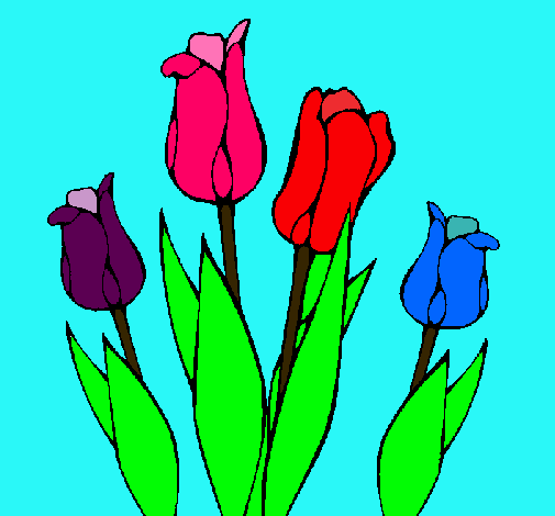 Tulipanes