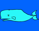 Dibujo Ballena azul pintado por animal