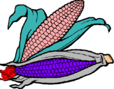 Dibujo Mazorca de maíz pintado por ETOLE