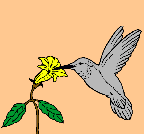 Dibujo Colibrí y una flor pintado por abuelos