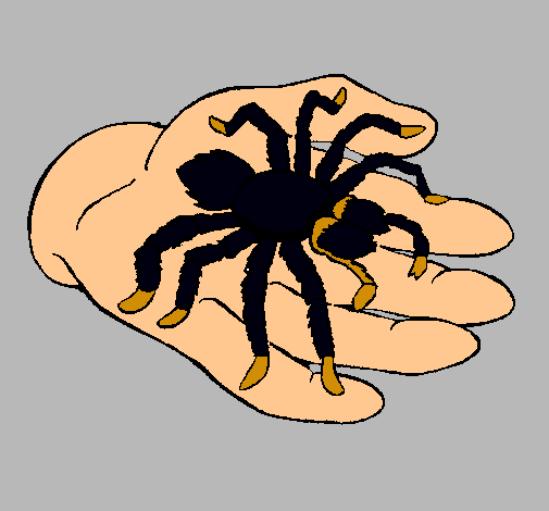 Tarántula