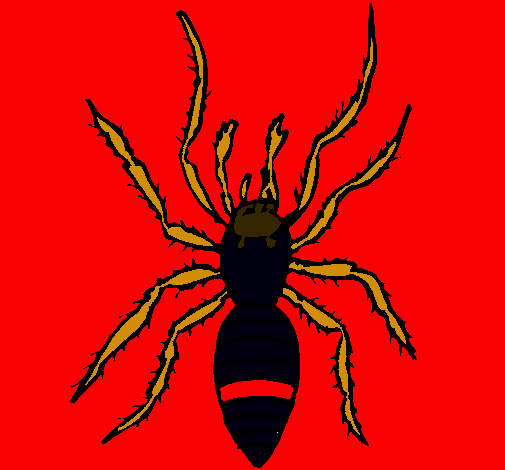 Araña tigre