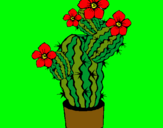 Dibujo Flores de cactus pintado por louisa
