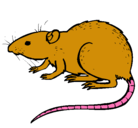 Dibujo Rata subterráena pintado por ratica