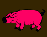 Dibujo Cerdo con pezuñas negras pintado por guiseto