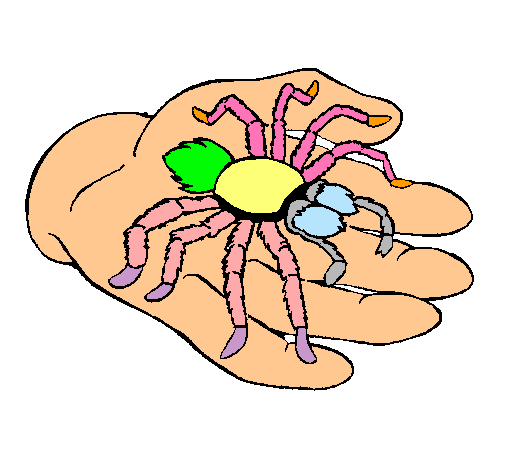 Tarántula