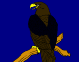 Dibujo Águila en una rama pintado por iguana10