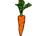 Dibujo zanahoria pintado por KORETA