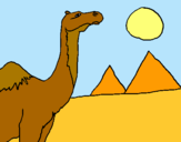 Dibujo Camello pintado por lunga