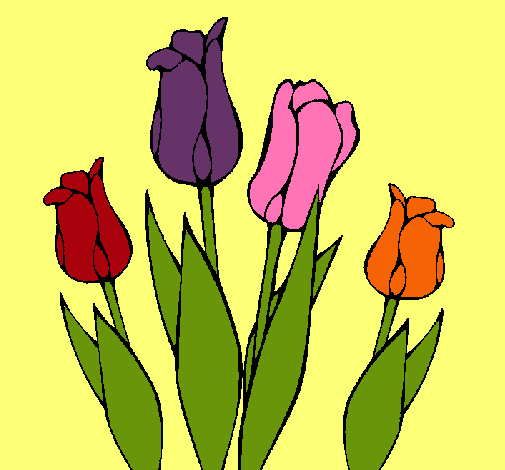 Tulipanes