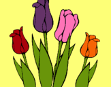 Dibujo Tulipanes pintado por tulipanes