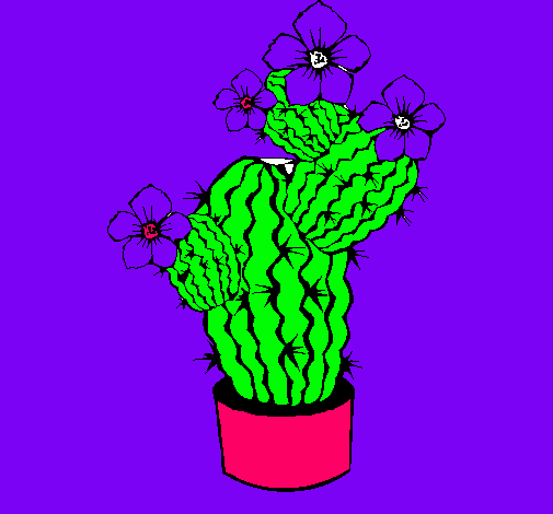 Flores de cactus