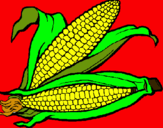 Dibujo Mazorca de maíz pintado por arellano
