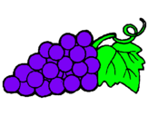 Dibujo racimo pintado por uvas