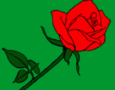 Dibujo Rosa pintado por icarlyguapa
