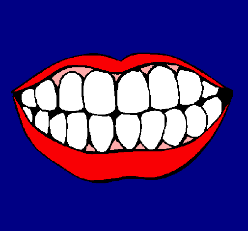 Boca y dientes