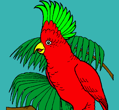 Dibujo Cacatúa pintado por CHUMANEL