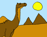 Dibujo Camello pintado por  g8hf