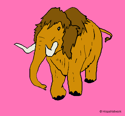 Mamut II