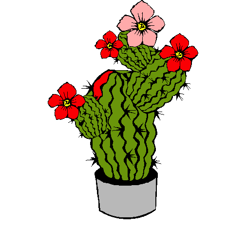 Flores de cactus