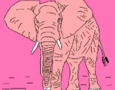 Dibujo Elefante pintado por nellykjrjkdf