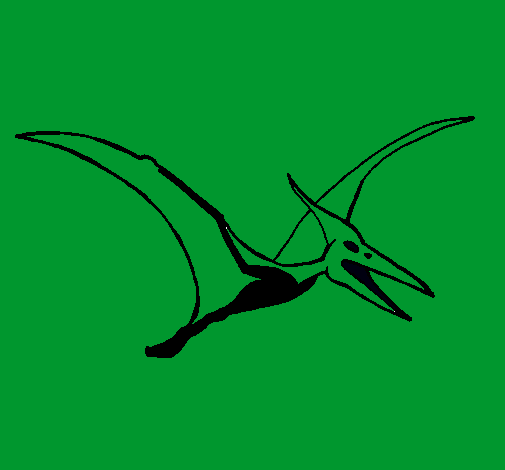 Pterodáctilo