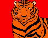 Dibujo Tigre pintado por Dracovich1