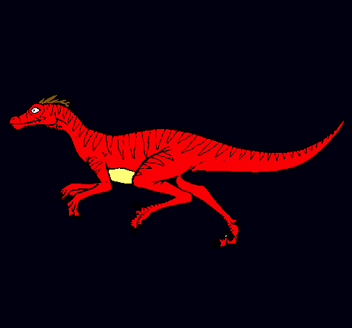 Velociraptor