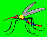 Dibujo Mosquito pintado por jmi4          