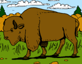 Dibujo Búfalo  pintado por lapolapolapo