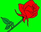 Dibujo Rosa pintado por liadlc
