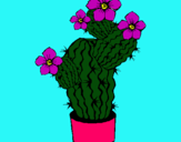 Dibujo Flores de cactus pintado por antonia12345