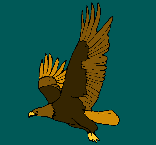 Águila volando