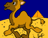 Dibujo Camello pintado por dahiannnnnnn