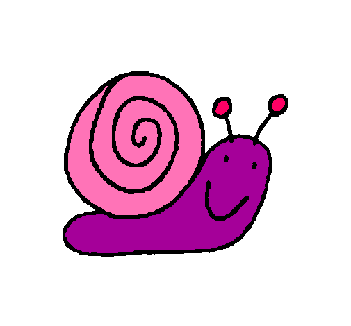 Caracol 4