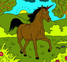 Dibujo Unicornio corriendo pintado por SUSI52515