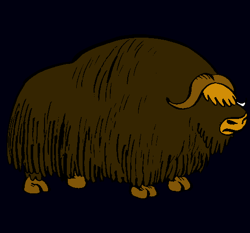 Bisonte