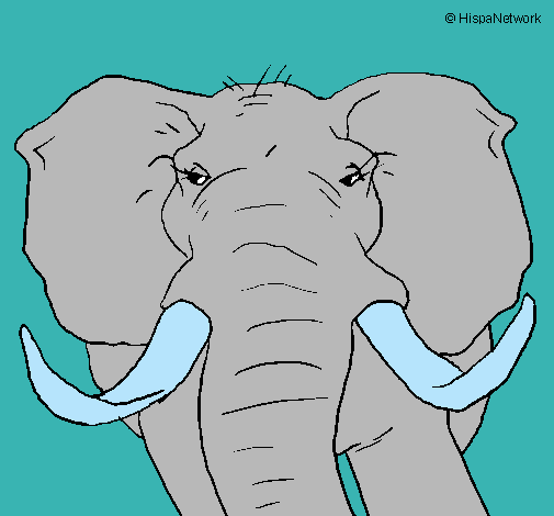 Dibujo Elefante africano pintado por cecibelu
