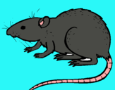 Dibujo Rata subterráena pintado por rata