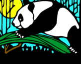 Dibujo Oso panda comiendo pintado por nicko