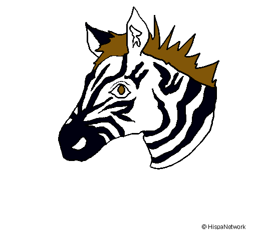 Dibujo Cebra II pintado por camilucha