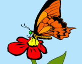 Dibujo Mariposa en una flor pintado por AZPP