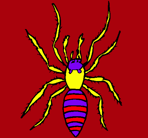 Araña tigre