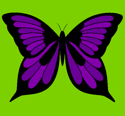 Mariposa